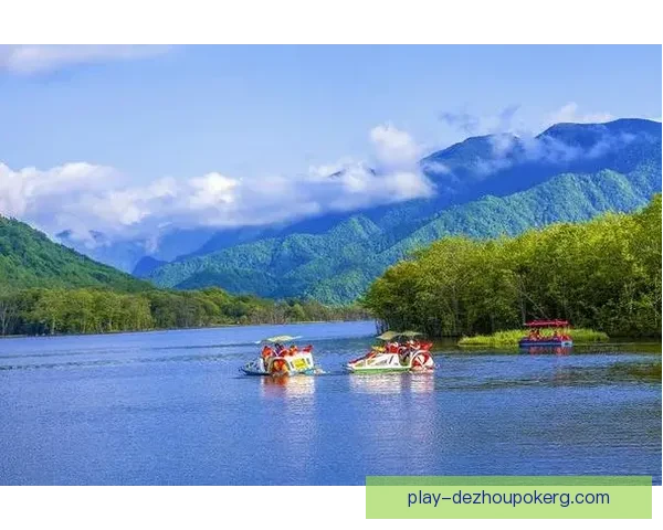 维切塔至维尔茨堡沿线旅游景点与文化探索指南